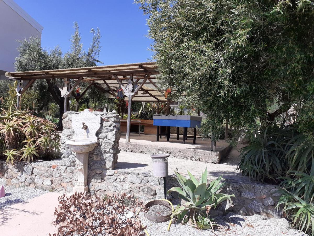 Agriturismo Heaven Capo Vaticano Exteriör bild